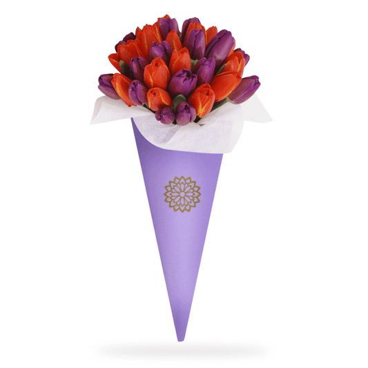 20 Tulipanes Bicolor